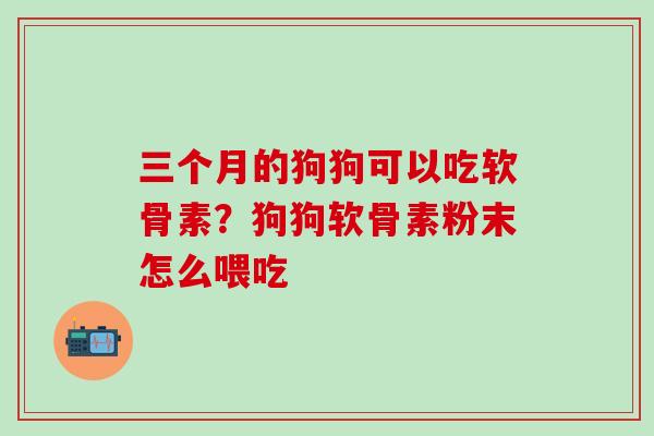 三个月的狗狗可以吃软骨素？狗狗软骨素粉末怎么喂吃