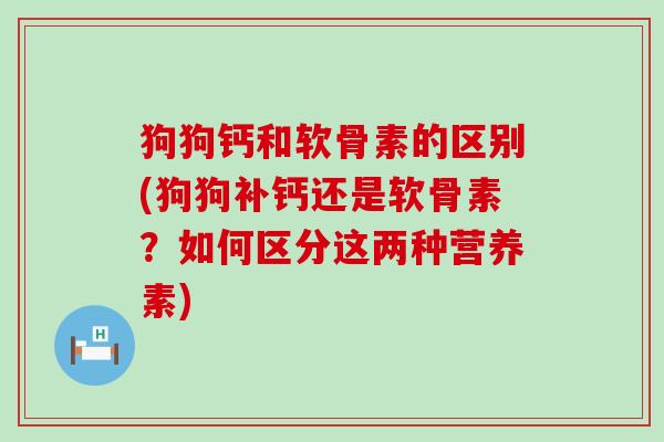 狗狗钙和软骨素的区别(狗狗补钙还是软骨素？如何区分这两种营养素)