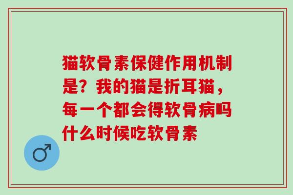 猫软骨素保健作用机制是？我的猫是折耳猫，每一个都会得软骨病吗什么时候吃软骨素