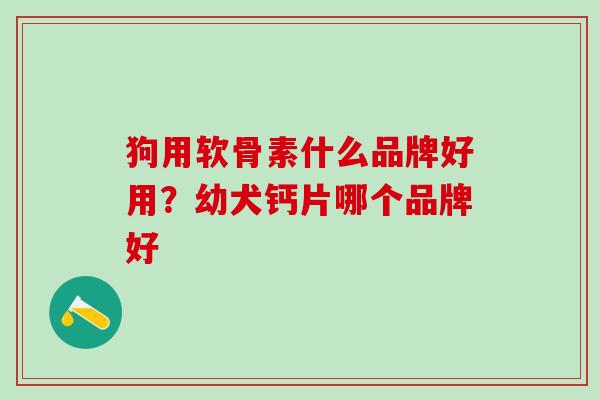 狗用软骨素什么品牌好用？幼犬钙片哪个品牌好