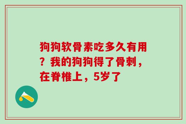狗狗软骨素吃多久有用？我的狗狗得了骨刺，在脊椎上，5岁了