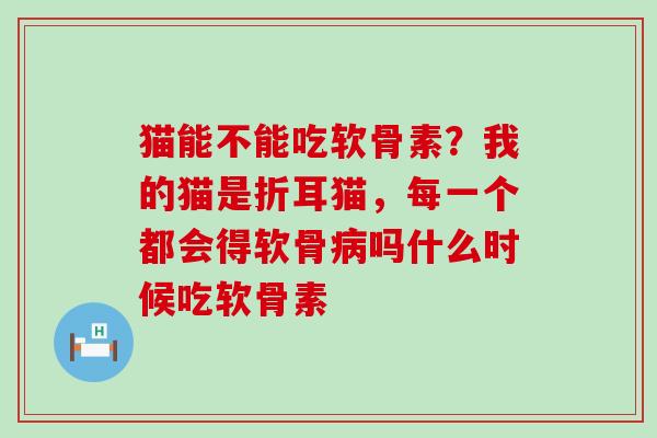 猫能不能吃软骨素？我的猫是折耳猫，每一个都会得软骨病吗什么时候吃软骨素