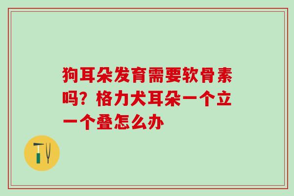 狗耳朵发育需要软骨素吗？格力犬耳朵一个立一个叠怎么办