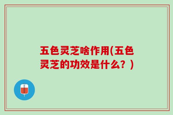五色灵芝啥作用(五色灵芝的功效是什么?) 五色灵芝啥作用(五色灵芝的功效是什么?)
