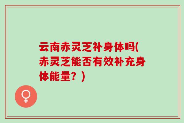 云南赤灵芝补身体吗(赤灵芝能否有效补充身体能量？)