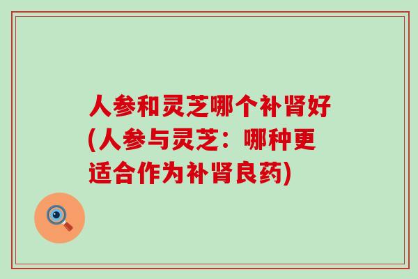人参和灵芝哪个补肾好(人参与灵芝：哪种更适合作为补肾良药)