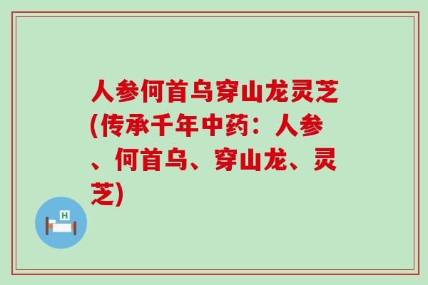 人参何首乌穿山龙灵芝(传承千年中药：人参、何首乌、穿山龙、灵芝)