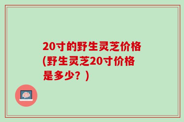 20寸的野生灵芝价格(野生灵芝20寸价格是多少？)