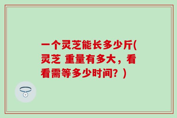 一个灵芝能长多少斤(灵芝 重量有多大，看看需等多少时间？)