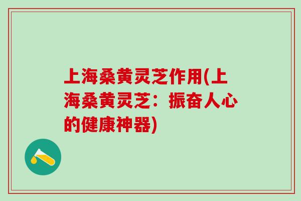 上海桑黄灵芝作用(上海桑黄灵芝：振奋人心的健康神器)