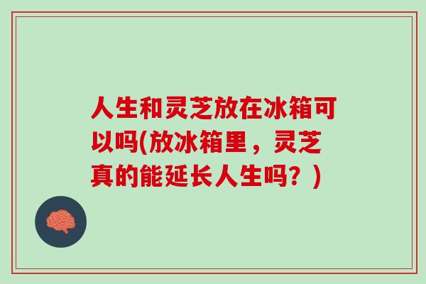 人生和灵芝放在冰箱可以吗(放冰箱里，灵芝真的能延长人生吗？)