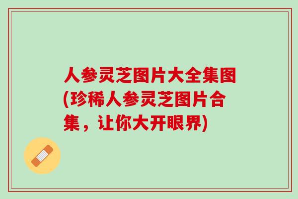人参灵芝图片大全集图(珍稀人参灵芝图片合集，让你大开眼界)