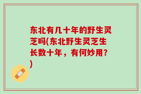 东北有几十年的野生灵芝吗(东北野生灵芝生长数十年，有何妙用？)