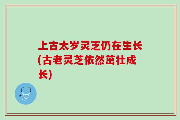 上古太岁灵芝仍在生长(古老灵芝依然茁壮成长)