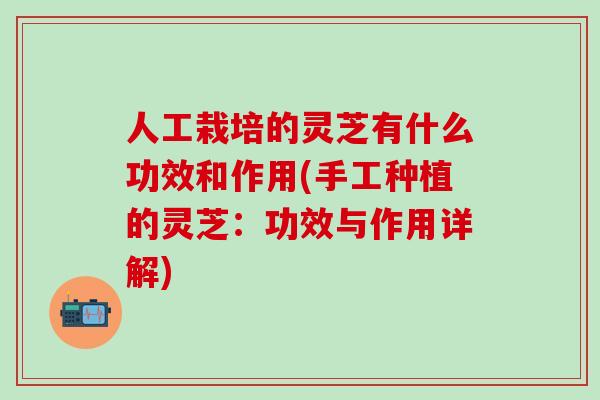 人工栽培的灵芝有什么功效和作用(手工种植的灵芝：功效与作用详解)