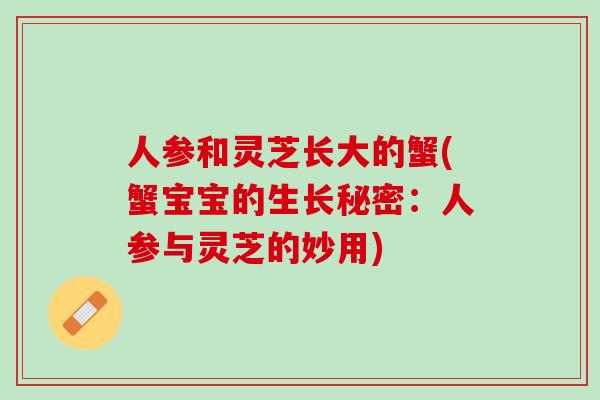 人参和灵芝长大的蟹(蟹宝宝的生长秘密：人参与灵芝的妙用)
