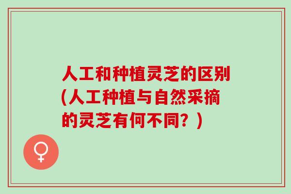 人工和种植灵芝的区别(人工种植与自然采摘的灵芝有何不同？)