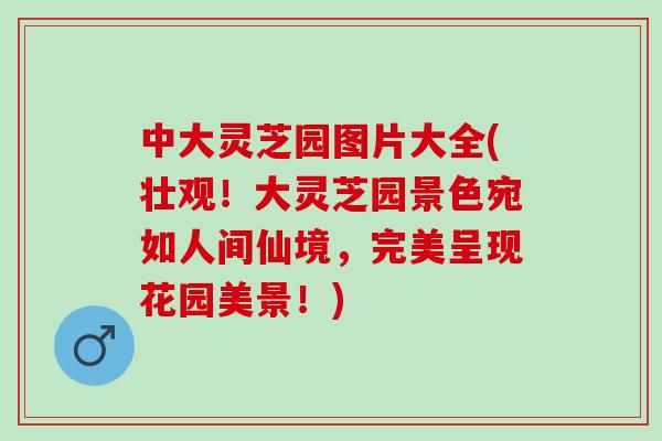中大灵芝园图片大全(壮观！大灵芝园景色宛如人间仙境，完美呈现花园美景！)