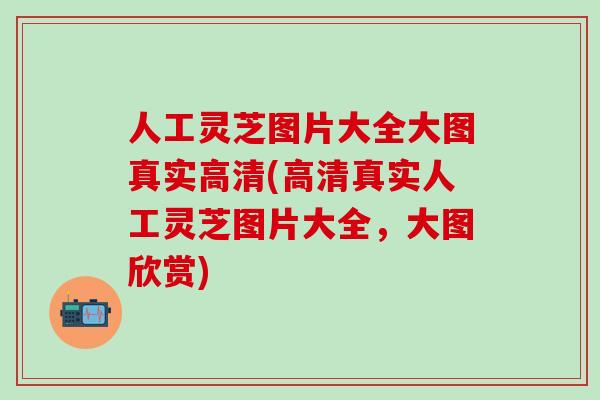 人工灵芝图片大全大图真实高清(高清真实人工灵芝图片大全,大图欣赏) 人工灵芝图片大全大图真实高清(高清真实人工灵芝图片大全,大图欣赏)