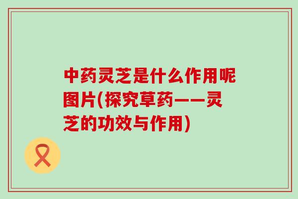中药灵芝是什么作用呢图片(探究草药——灵芝的功效与作用)