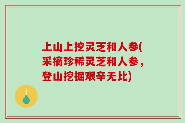 上山上挖灵芝和人参(采摘珍稀灵芝和人参，登山挖掘艰辛无比)