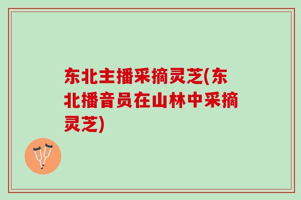 东北主播采摘灵芝(东北播音员在山林中采摘灵芝)