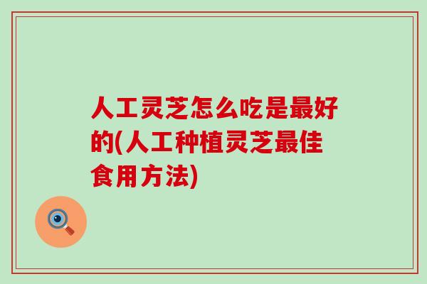 人工灵芝怎么吃是最好的(人工种植灵芝最佳食用方法)