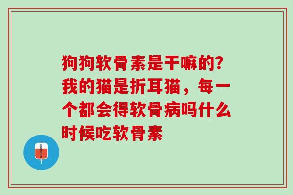 狗狗软骨素是干嘛的？我的猫是折耳猫，每一个都会得软骨病吗什么时候吃软骨素