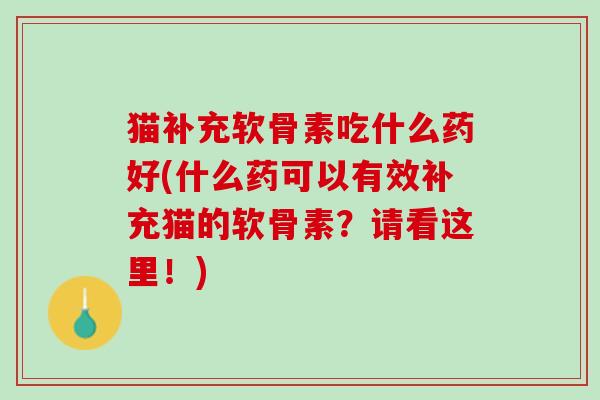猫补充软骨素吃什么药好(什么药可以有效补充猫的软骨素？请看这里！)