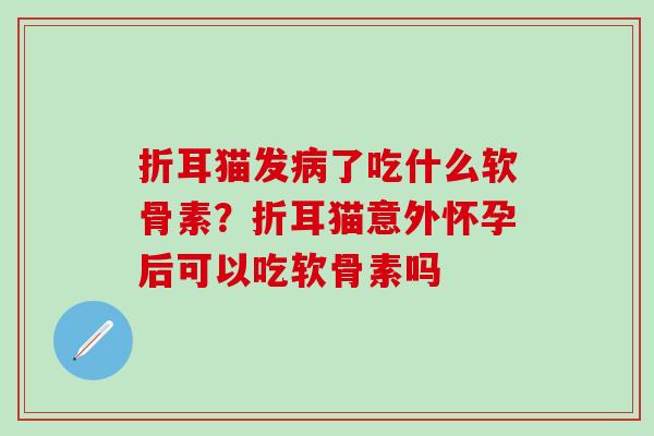 折耳猫发病了吃什么软骨素？折耳猫意外怀孕后可以吃软骨素吗