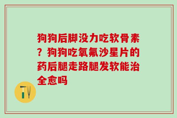 狗狗后脚没力吃软骨素？狗狗吃氧氟沙星片的药后腿走路腿发软能治全愈吗