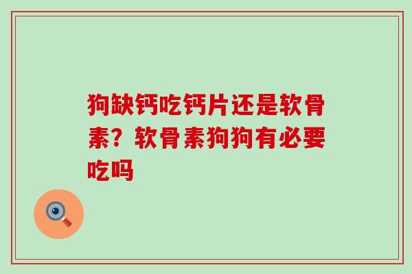 狗缺钙吃钙片还是软骨素？软骨素狗狗有必要吃吗