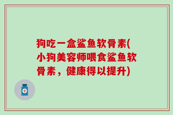 狗吃一盒鲨鱼软骨素(小狗美容师喂食鲨鱼软骨素，健康得以提升)