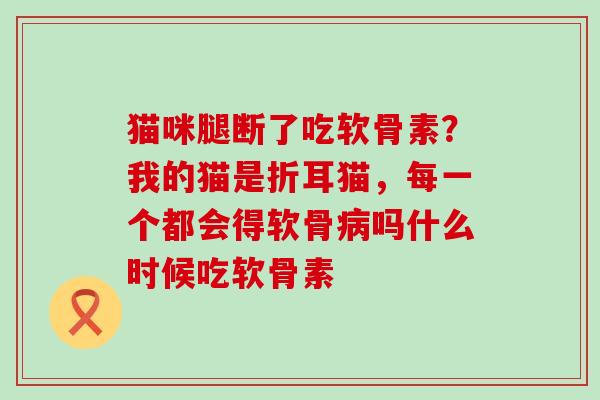 猫咪腿断了吃软骨素？我的猫是折耳猫，每一个都会得软骨病吗什么时候吃软骨素