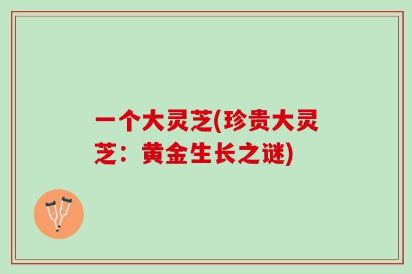 一个大灵芝(珍贵大灵芝：黄金生长之谜)