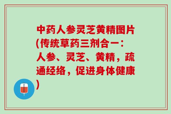 人参灵芝黄精图片(传统草药三剂合一:人参、灵芝、黄精,疏通经络,促进身体健康) 人参灵芝黄精图片(传统草药三剂合一:人参、灵芝、黄精,疏通经络,促进身体健康)