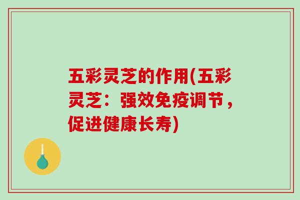 五彩灵芝的作用(五彩灵芝：强效免疫调节，促进健康长寿)