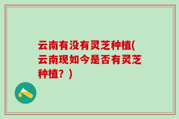 云南有没有灵芝种植(云南现如今是否有灵芝种植？)