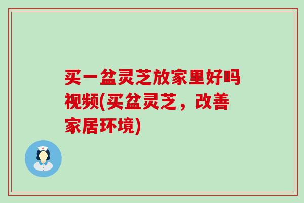 买一盆灵芝放家里好吗视频(买盆灵芝，改善家居环境)