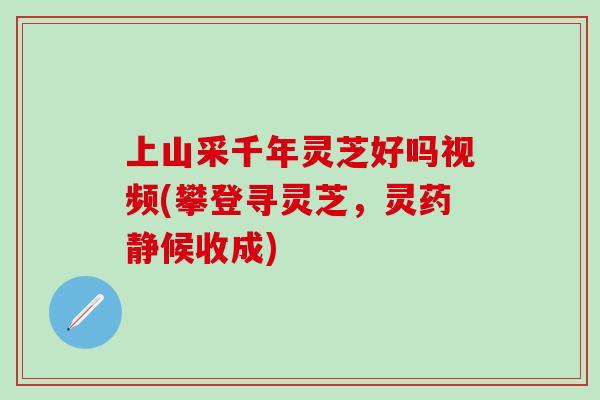 上山采千年灵芝好吗视频(攀登寻灵芝，灵药静候收成)