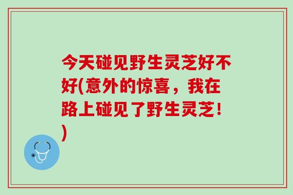 今天碰见野生灵芝好不好(意外的惊喜，我在路上碰见了野生灵芝！)