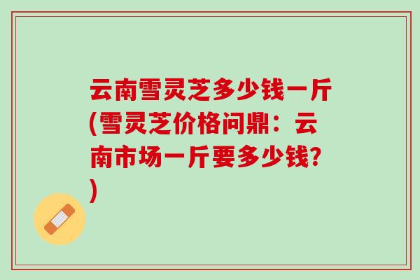 云南雪灵芝多少钱一斤(雪灵芝价格问鼎：云南市场一斤要多少钱？)