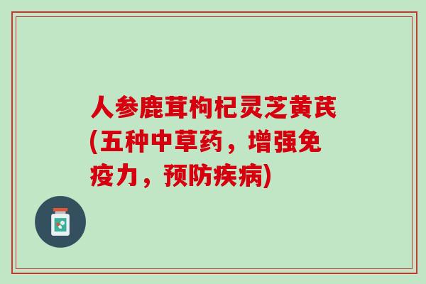 人参鹿茸枸杞灵芝黄芪(五种中草药，增强免疫力，预防疾病)