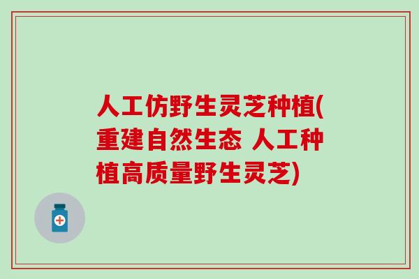 人工仿野生灵芝种植(重建自然生态 人工种植高质量野生灵芝)