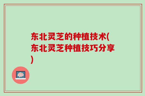 东北灵芝的种植技术(东北灵芝种植技巧分享)