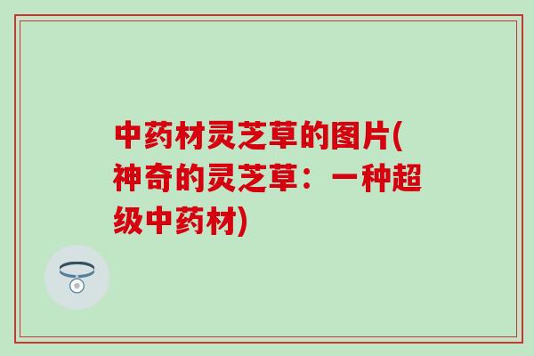 中药材灵芝草的图片(神奇的灵芝草：一种超级中药材)