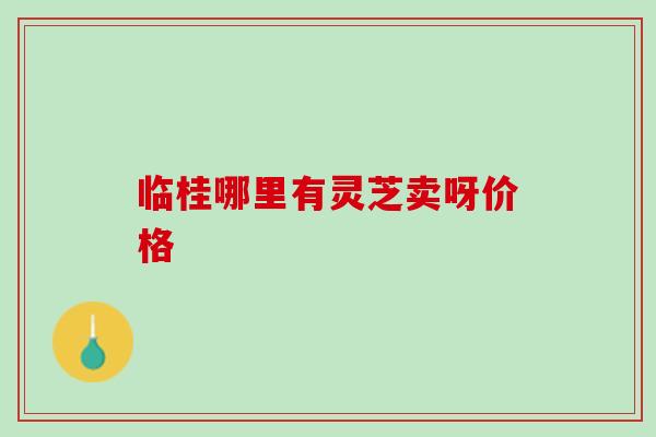 临桂哪里有灵芝卖呀价格