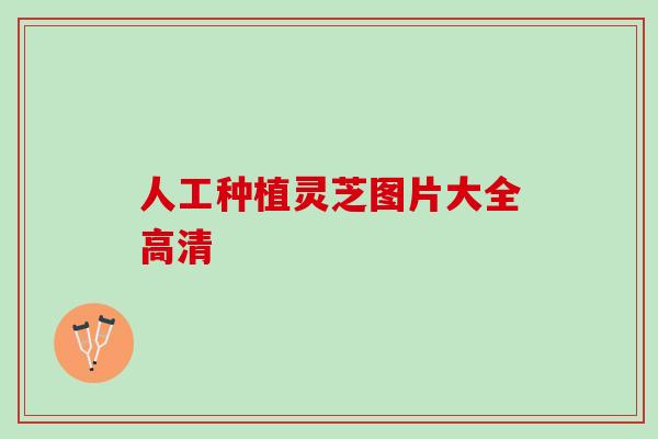 人工种植灵芝图片大全高清
