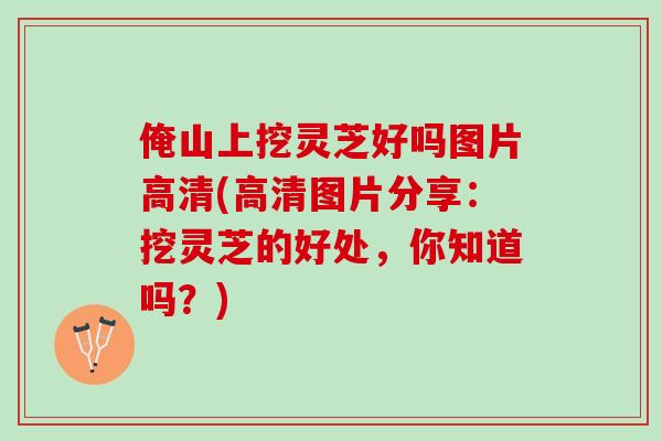 俺山上挖灵芝好吗图片高清(高清图片分享：挖灵芝的好处，你知道吗？)