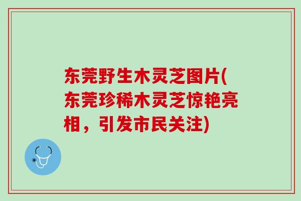 东莞野生木灵芝图片(东莞珍稀木灵芝惊艳亮相，引发市民关注)